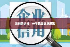 深圳侦探社：分手挽回反复道歉