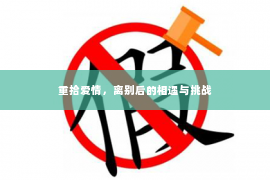 重拾爱情，离别后的相遇与挑战