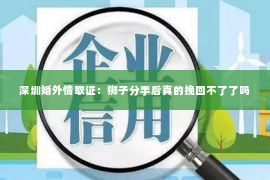 深圳婚外情取证：狮子分手后真的挽回不了了吗