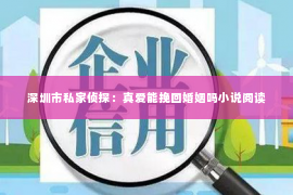 深圳市私家侦探：真爱能挽回婚姻吗小说阅读