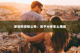 深圳市侦探公司：双子分手怎么挽回