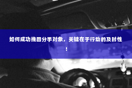 如何成功挽回分手对象，关键在于行动的及时性！