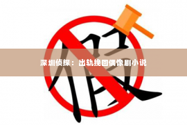 深圳侦探：出轨挽回偶像剧小说