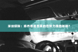 深圳侦探：陈乔恩是否真的在努力挽回婚姻？