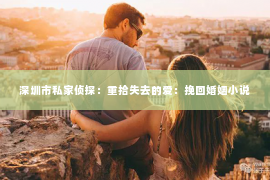 深圳市私家侦探：重拾失去的爱：挽回婚姻小说