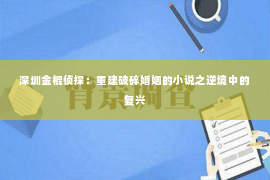 深圳金棍侦探：重建破碎婚姻的小说之逆境中的复兴