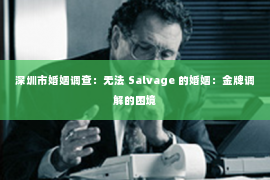 深圳市婚姻调查：无法 Salvage 的婚姻：金牌调解的困境