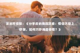 深圳市侦探：《分手后的挽回攻略：情侣大街上吵架，如何巧妙挽回爱情？》