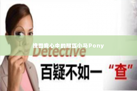 挽回我心中的那匹小马Pony